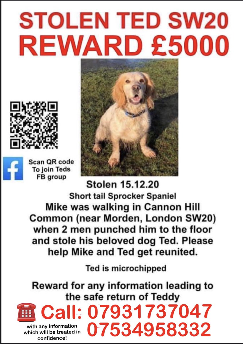 FindTedSW20's tweet photo. TWITTER STORM SUNDAY FROM 8-9pm share Teds poster asking for info and #bringtedhome between the hours of 8pm-9pm Sunday evening. Share these details with as many people as you can groups,friends and family. Send as many tweets as you can during this hour! https://t.co/lFTEx02Rk6