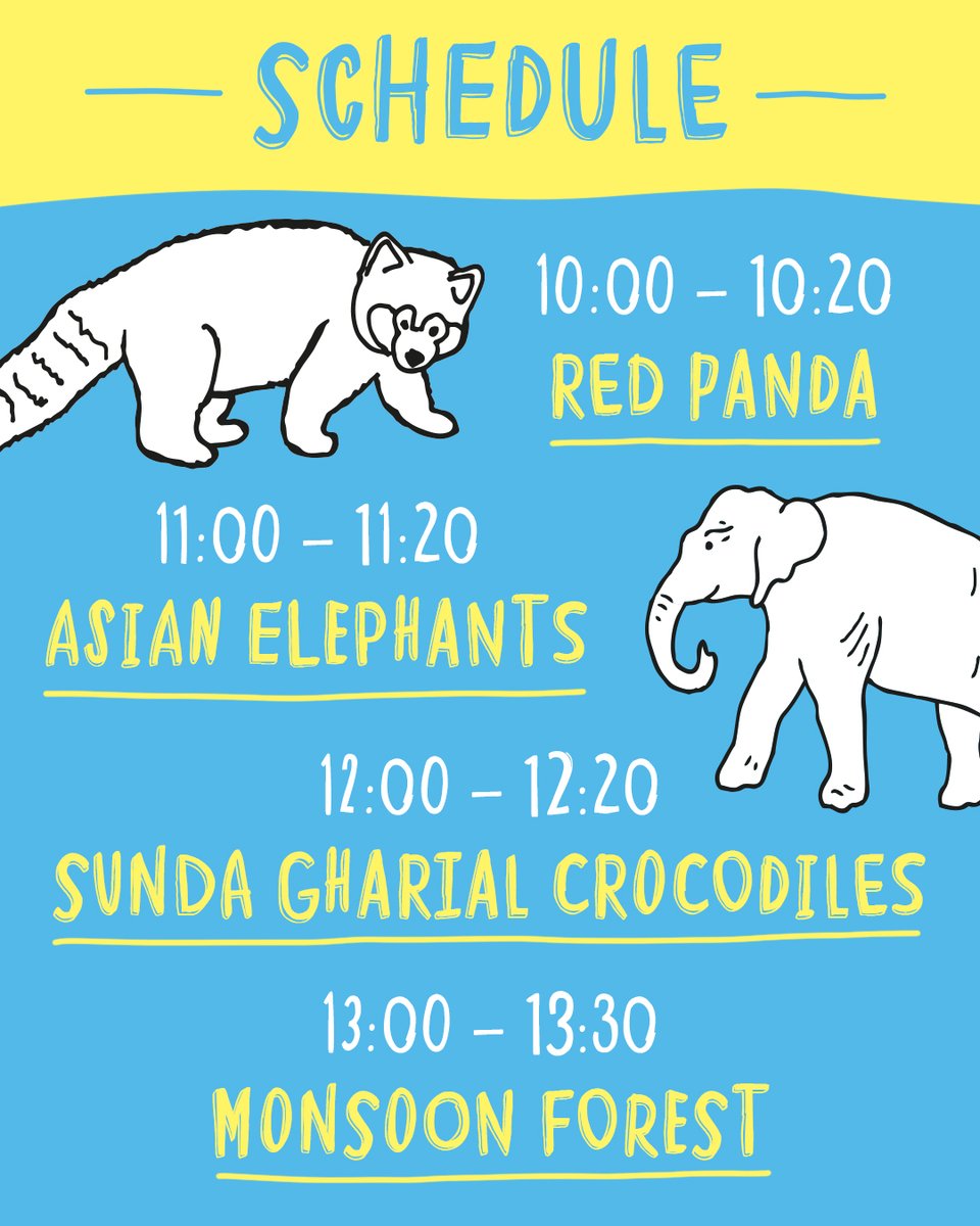 chesterzoo's tweet image. 🙋‍♀️ So, who fancies a trip to #TheZoo today?

🎥 Virtual Zoo Day LIVE! 

⏰ ‘Gates’ open at 10am over on our @Facebook &amp;amp; @YouTube channels

🛋 The PERFECT way to learn and have fun, all from the comfort of your own sofa! 

🤩 RT if you’ll be tuning in