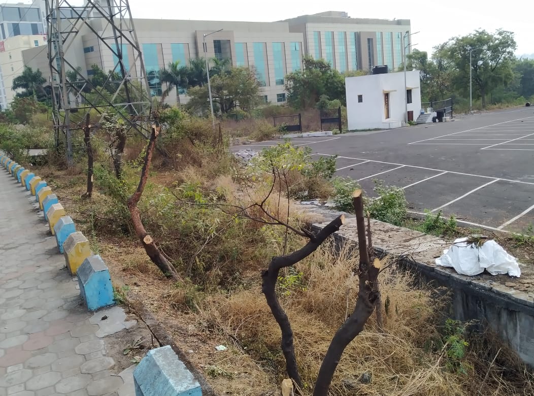 Pune_Go_Green's tweet photo. 100's of free getting cut In the name of development...

@MahaForest @AUThackeray  ji, This is near Infosys circle, Hinjewadi pune.

Can we stop this plz ??

We had seen failed attempt of  re plantation near IBIS hotel.
So do things with experience or under watch of experts🙏. https://t.co/W4w3XTHrFN