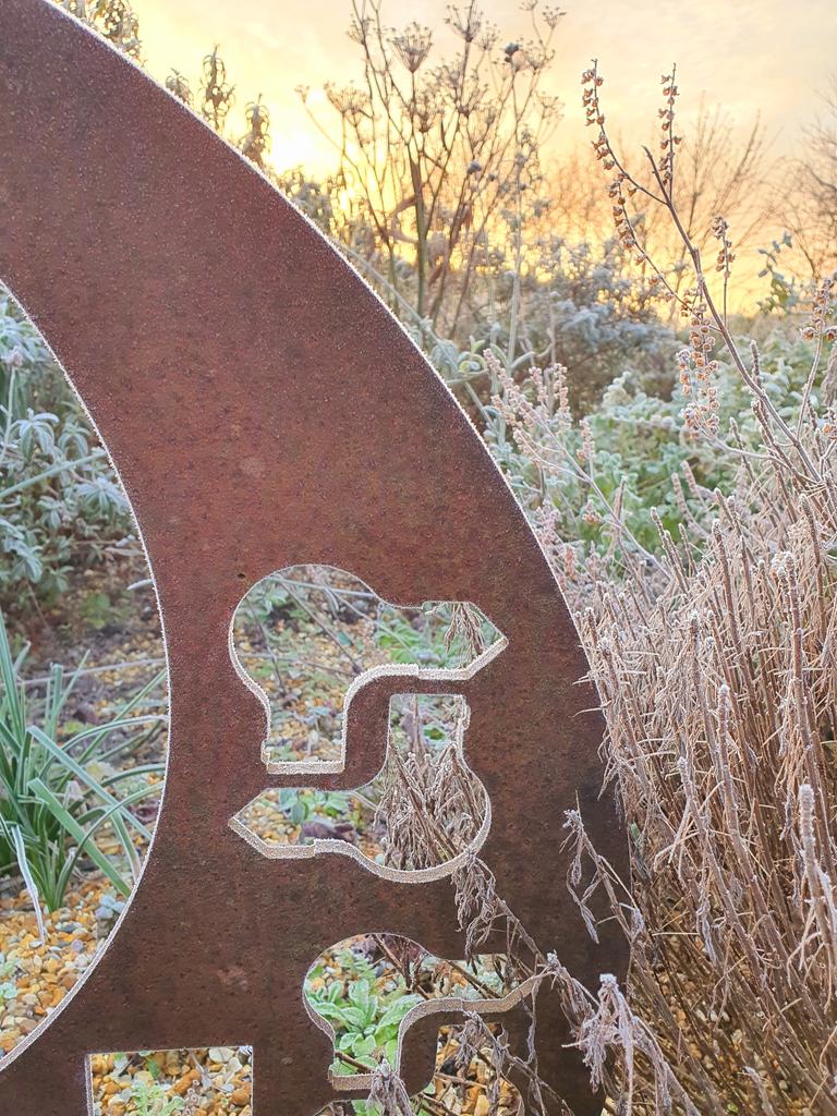 MLaurenceDesign's tweet image. Early light and frost in the garden

#garden #winterstructure #wintergarden #plantingdesign #winterform #frostymorning #sunrise #gardendesign #beauty