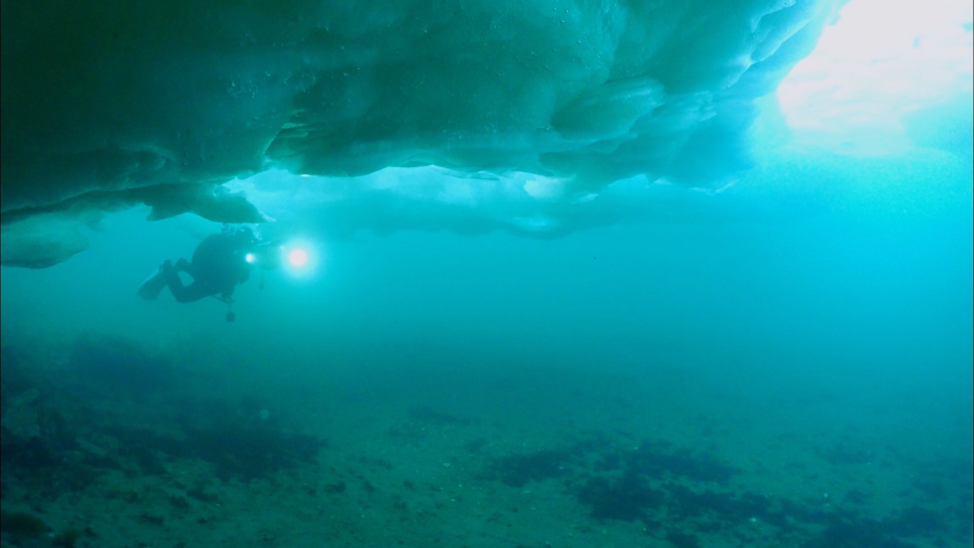 世界遺産 流氷の海も水中撮影しました おなじみのクリオネなど 厳寒にもかかわらず 意外なほど色々な生き物が撮影出来ます その訳は 1月10日 日 午後6時放送 知床の四季 で解説します 世界遺産 北海道 知床 流氷 クリオネ 水中撮影 世界遺産 流氷の海も水中撮影しました おなじみのクリオネなど 厳寒にもかかわらず 意外なほど色々な生き物が撮影出来ます その訳は 1月10日 日 午後6時放送 知床の四季 で解説します 世界遺産 北海道 知床 流氷 クリオネ 水中撮影