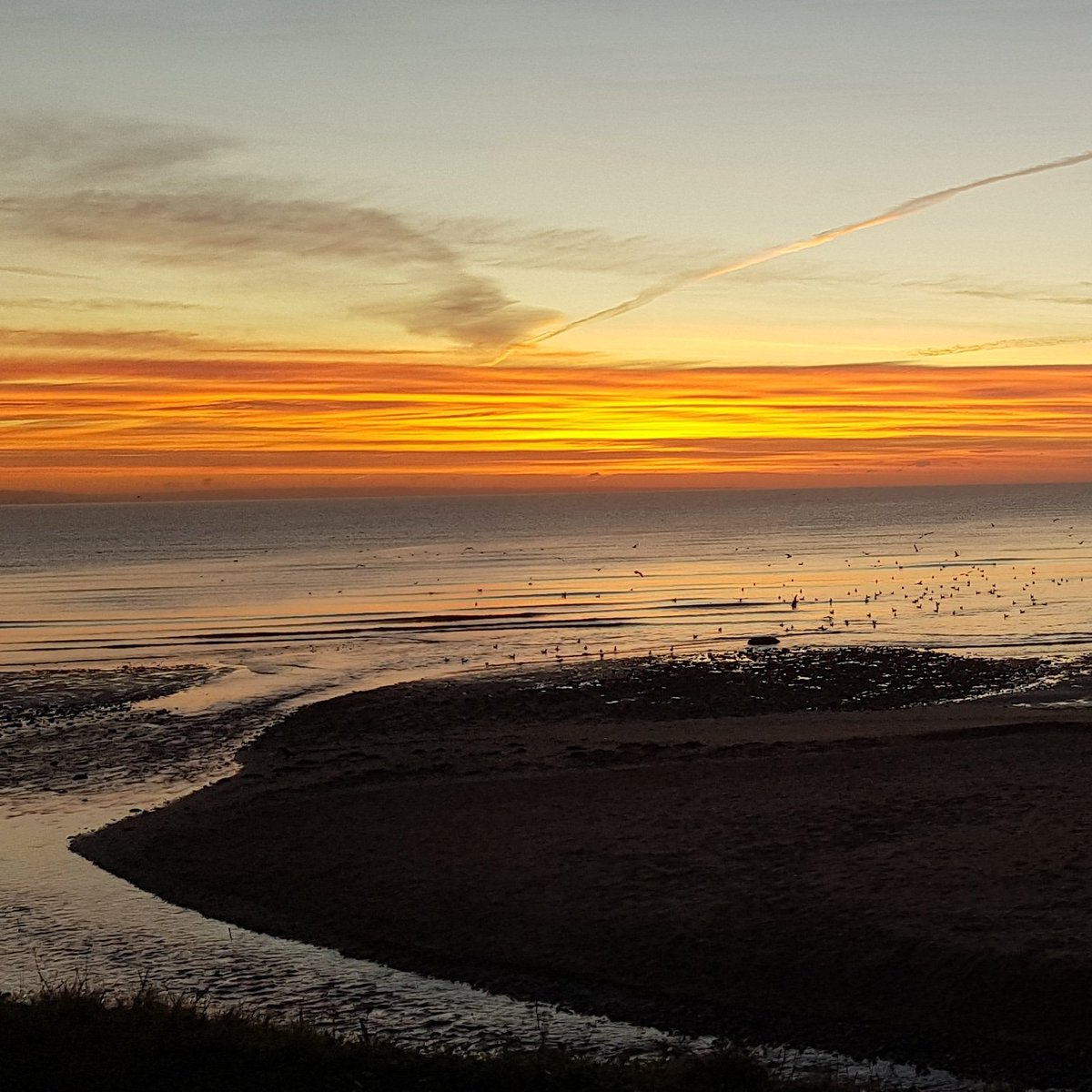 Mike_Colwill5's tweet photo. Sunrise beach walks are the best! https://t.co/ZeD1miIB6V
