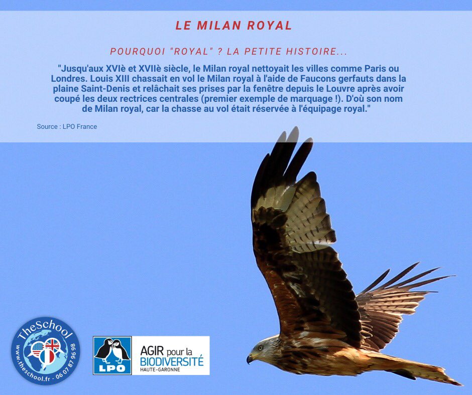 Avec la LPO,TheSchool s’engage à soutenir les actions liées à la biodiversité. Ainsi le parc est équipé d’abreuvoirs, de nichoirs et de mangeoires pour aider nos oiseaux et hérissons à passer l’hiver. Royal! Pourquoi royal ? <a href="/OFBiodiversite/">Office français de la biodiversité</a> #drh #biodiversity <a href="/LPOFrance/">LPO France</a>