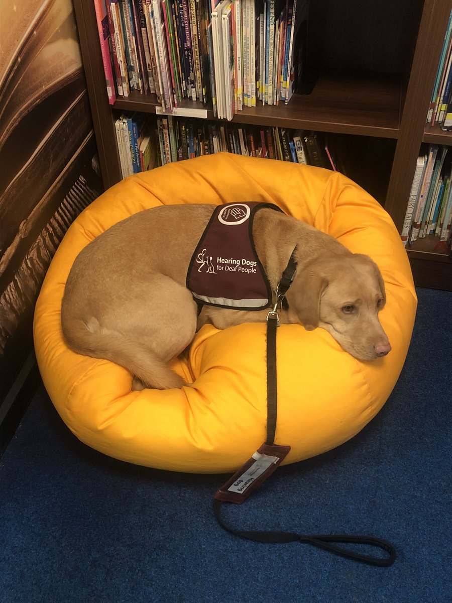BPSYearFour's tweet photo. It’s obviously been a busy week in Year 4! @PrincessZaraBPS https://t.co/gqt59gjxnQ