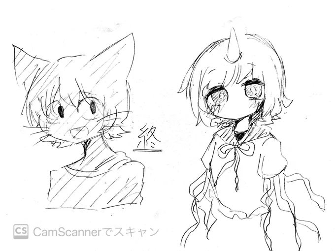 #ねこのティーチくん 