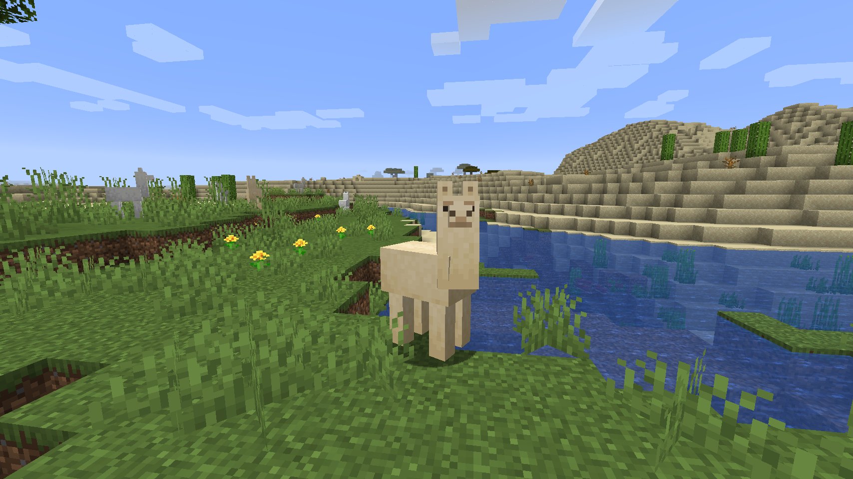 マインクラフト 日本公式 Minecraft Japan ラマは可愛いですね ふわふわした毛並みは思わず撫でたくなってしまいますが 間違えて攻撃してしまわないように注意しましょう 唾を吐かれてしまいますよ マインクラフト 日本公式 Minecraft Japan ラマは可愛いですね ふわふわした毛並みは思わず撫でたくなってしまいますが 間違えて攻撃してしまわないように注意しましょう 唾を吐かれてしまいますよ