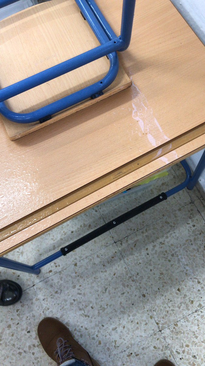 María del Mar tweet media