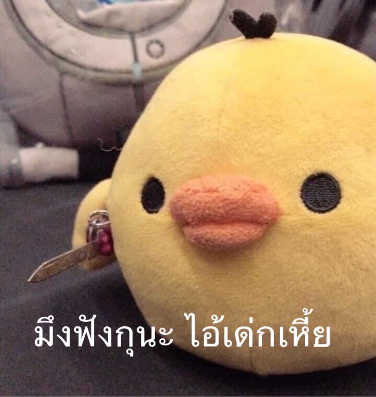 @jexxno_ “มึงเลิกเเตะเเมว ถ้ามึงไม่เลิก ตูตมึงจะมีลายตีนกุ อิเด็กเปรต!”