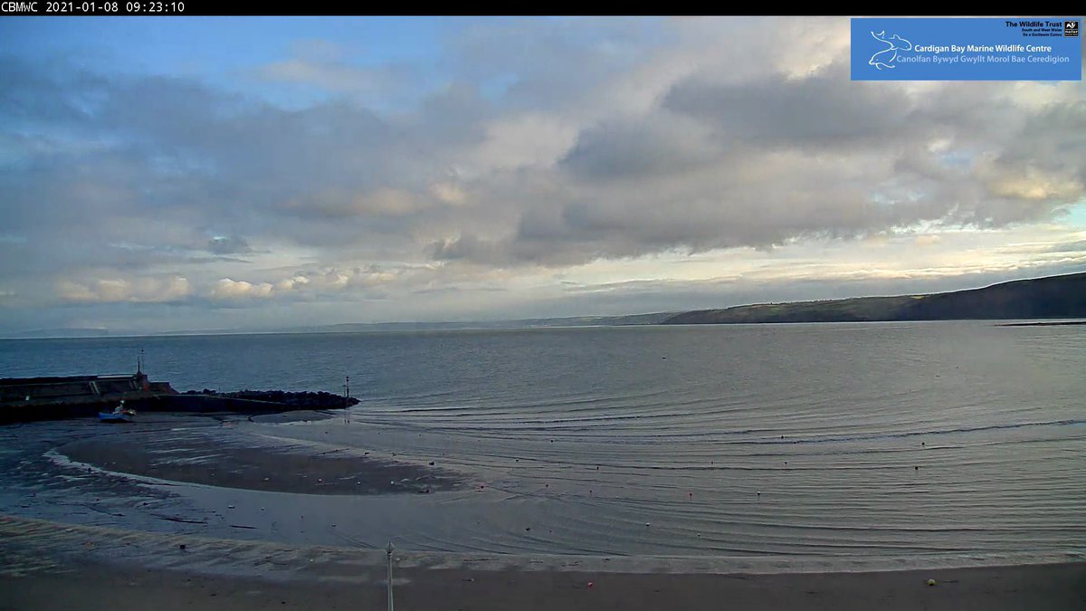 CBMWC's tweet photo. #FridayMotivation no #snow here but beautiful views of #NewQuay #Ceredigion #Wales via our
#DolphinWatchLive ๐ฌ ๐ ๐ด #camera
Streaming #live via CBMWC #YouTube Channel ๐๐ผ https://t.co/UcsYV0bGn0
#LockdownNatureWatch #VitaminSea
#Livestream #NatureCamera #Lockdown #Seaview https://t.co/qAetAEba1g