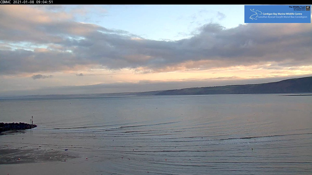 CBMWC's tweet photo. #FridayMotivation no #snow here but beautiful views of #NewQuay #Ceredigion #Wales via our
#DolphinWatchLive ๐ฌ ๐ ๐ด #camera
Streaming #live via CBMWC #YouTube Channel ๐๐ผ https://t.co/UcsYV0bGn0
#LockdownNatureWatch #VitaminSea
#Livestream #NatureCamera #Lockdown #Seaview https://t.co/qAetAEba1g
