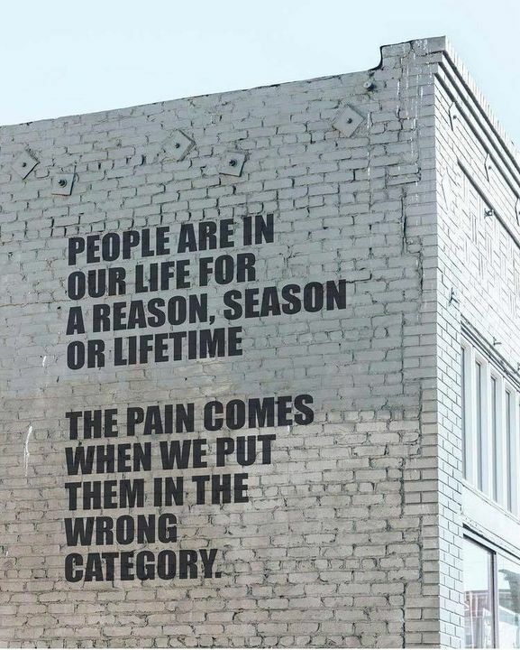 CryptonautX tweet media