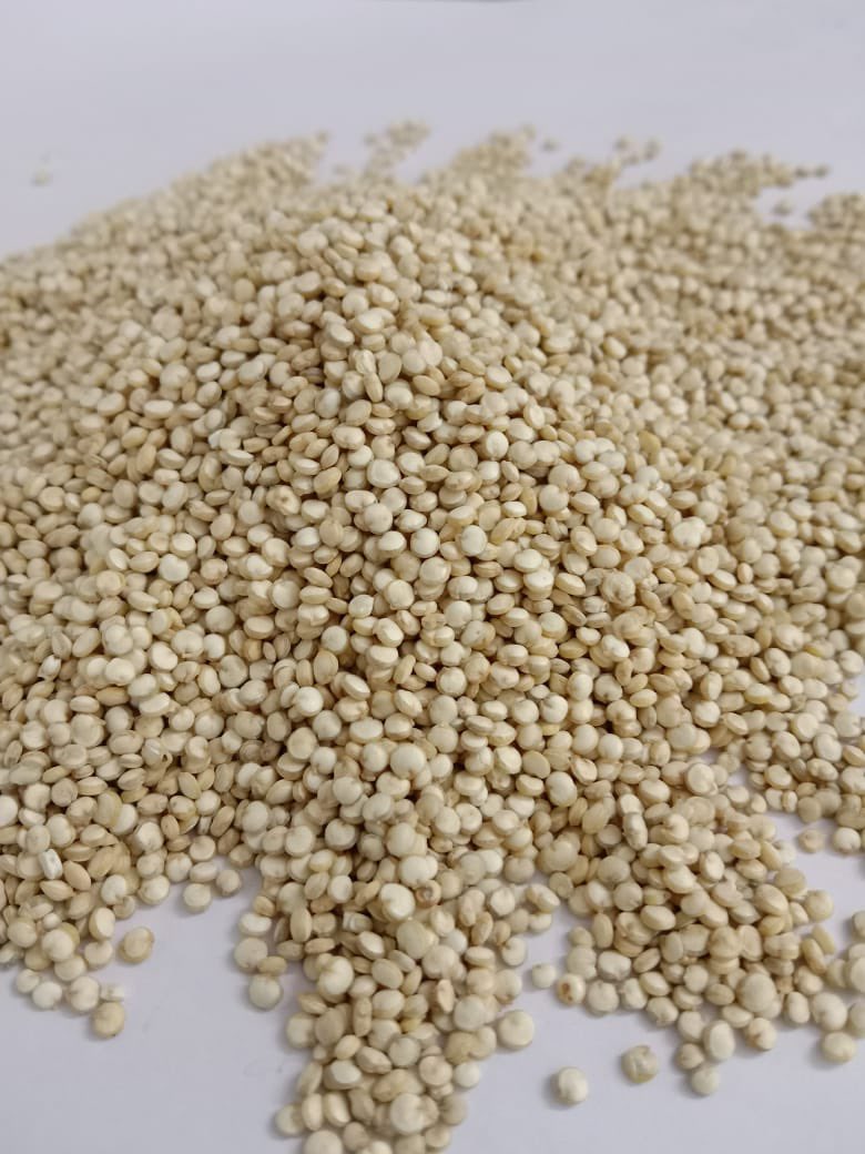 nutricrops's tweet photo. As the world is facing toughest times due to COVID-19. Keeping yourself healthy is the priority. “Zinc” is the element which contains direct and indirect antiviral properties to fight against SARS CoV-2.
Quinoa is a grain which has enormous amounts of Zinc. https://t.co/ZUCR6hvkzl