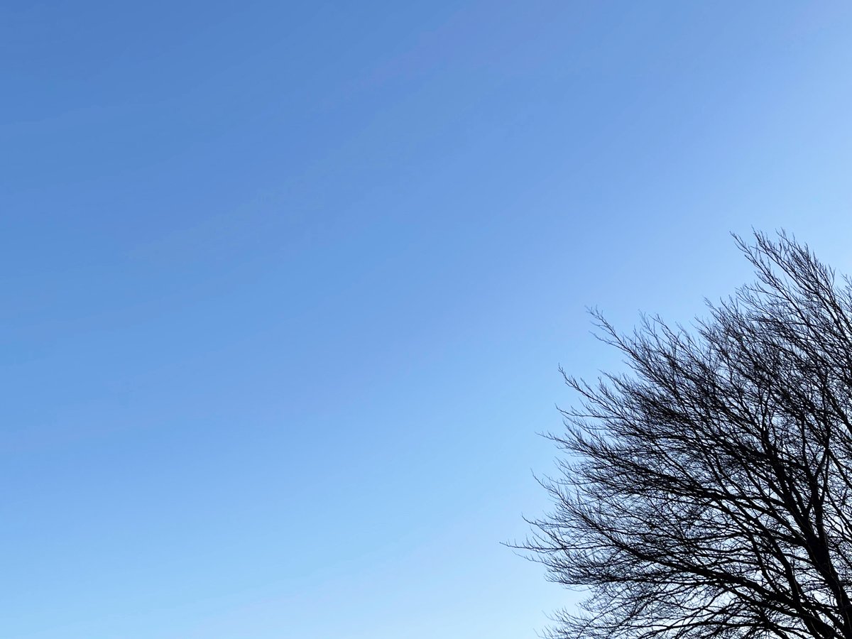 natlibscot's tweet image. Weather update (from Edinburgh): clear and frosty