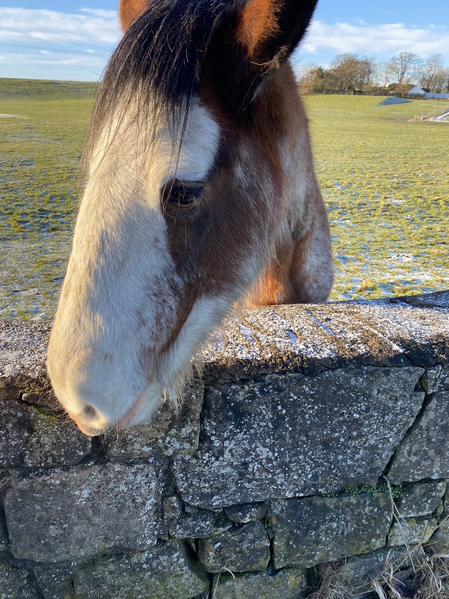 fionaeb1980's tweet photo. A lovely crisp winters socially distanced walk with one of my best friends today was just the tonic We set the world to rights 😂🙈.Was also nice to bump into @MissMason_MFL out on her walk too. A change of scenery really does wonders to our wellbeing even for an hour #activewalk https://t.co/gtOZKbAVSf