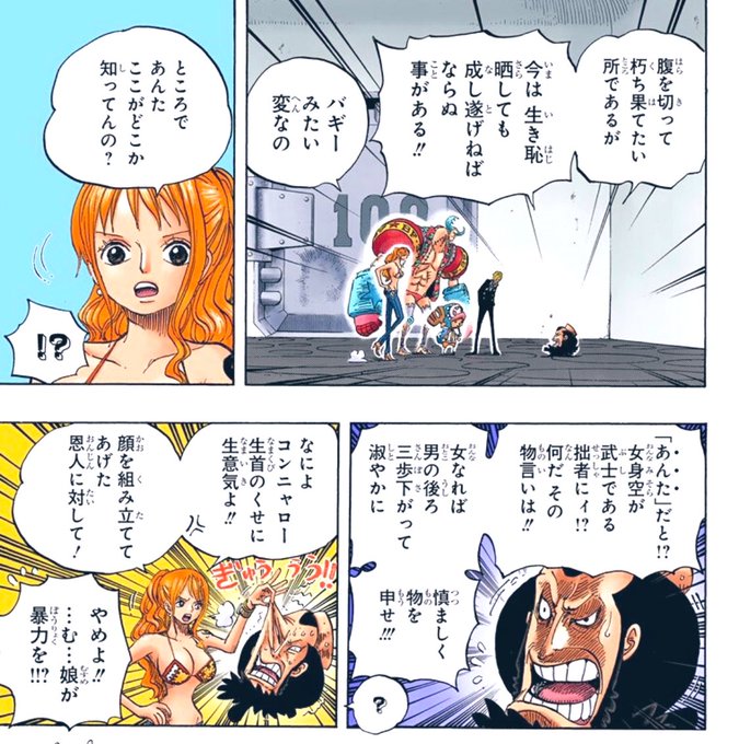 ワンピース 錦えもんの能力や必殺技まとめ 懸賞金やカイドウとの関係も調査 Selvy