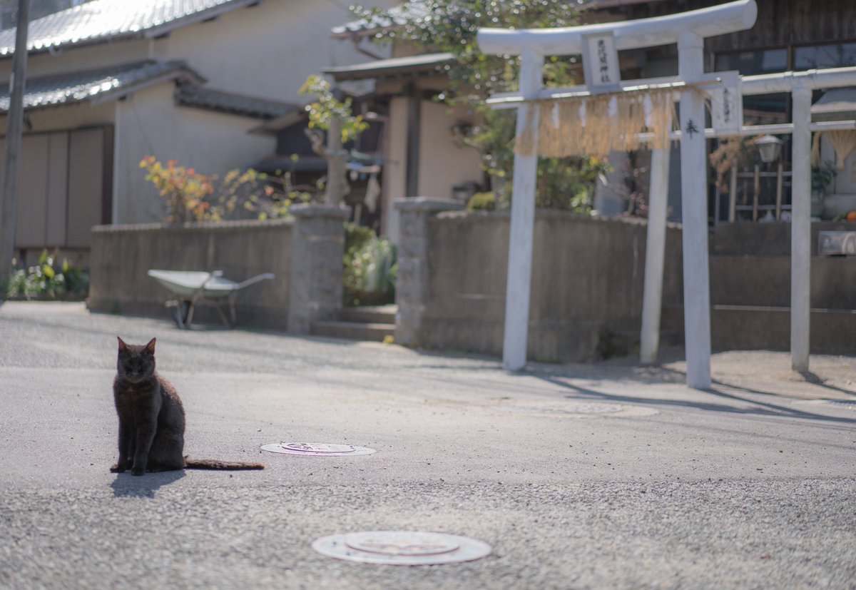 obtea1's tweet photo. 去年の春前に行った
ひとり福岡旅の写真。
早く旅行にいけるようになると
いーなー
#photography #art 
#sonya7iii #カメラOL 
#キリトリセカイ 
#カメラのある生活 #写真 
#ファインダー越しの私の世界 
#写真撮ってる人と繋がりたい https://t.co/t5otDxuRW2