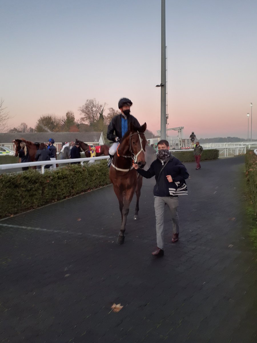 Our 1st runner of 2021 as Vitalline heads to Southwell in the 7:15 for <a href="/RacingMainline/">Mainline Racing</a> 

Won on Hcap debut at Kemp but a little disappointing since - we have switched him to fibresand (both dam/sire by US dirt stallions) and put the blinkers on so let's hope for a good start