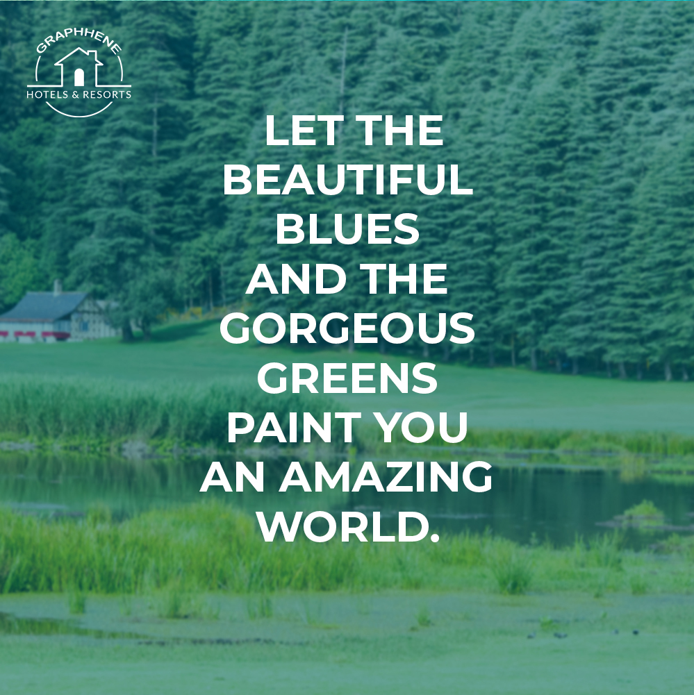 GraphheneR's tweet image. Sitting here and looking at those forests just reminds us of little whispers of life!
.
#travelquotes #travel #travelgram #travelphotography #travelquote #wanderlust #quotes #travelblogger #travelquotestoliveby #traveltheworld #quoteoftheday #travelinspiration