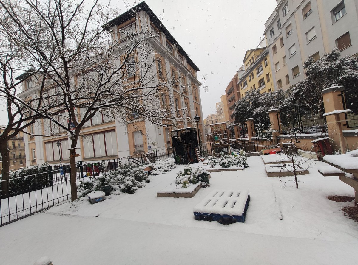 El CEIP Amador de los Ríos bajo un manto de nieve #Madrid