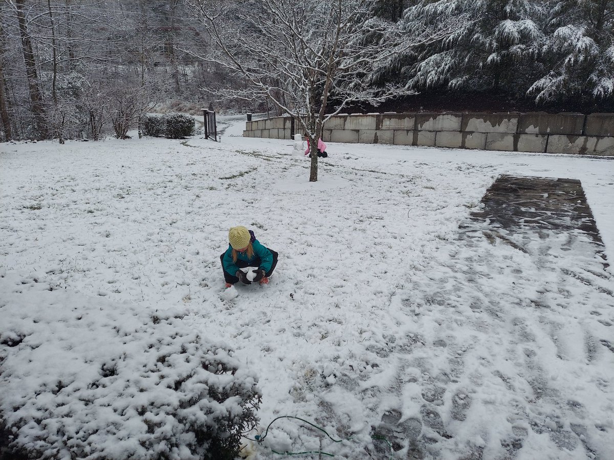 MrsSHyder's tweet photo. Our #HCPSsnow day has started!! @HCPSNC https://t.co/tzUi419g9t