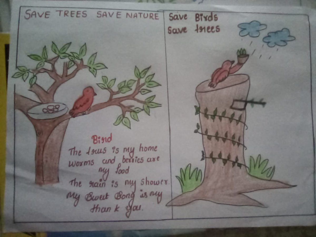 Chennai school students campaign for Vedanthangal bird sanctuary through art