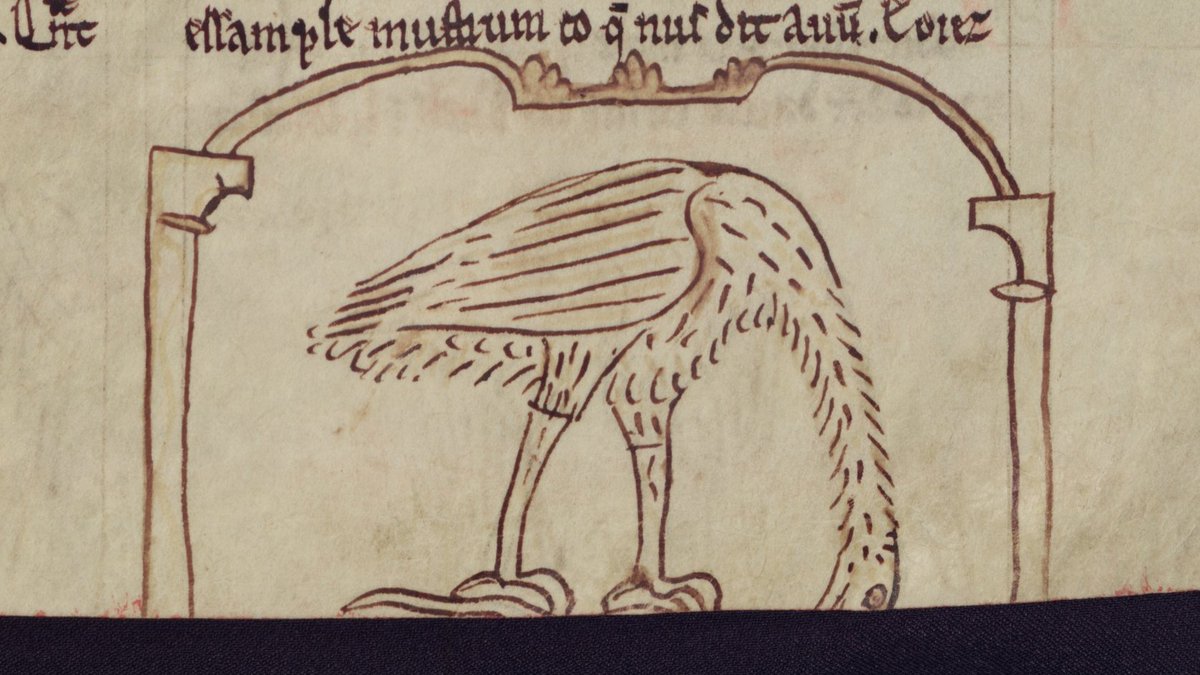 A manuscript illumination of an ibex eating something that has been trimmed away
