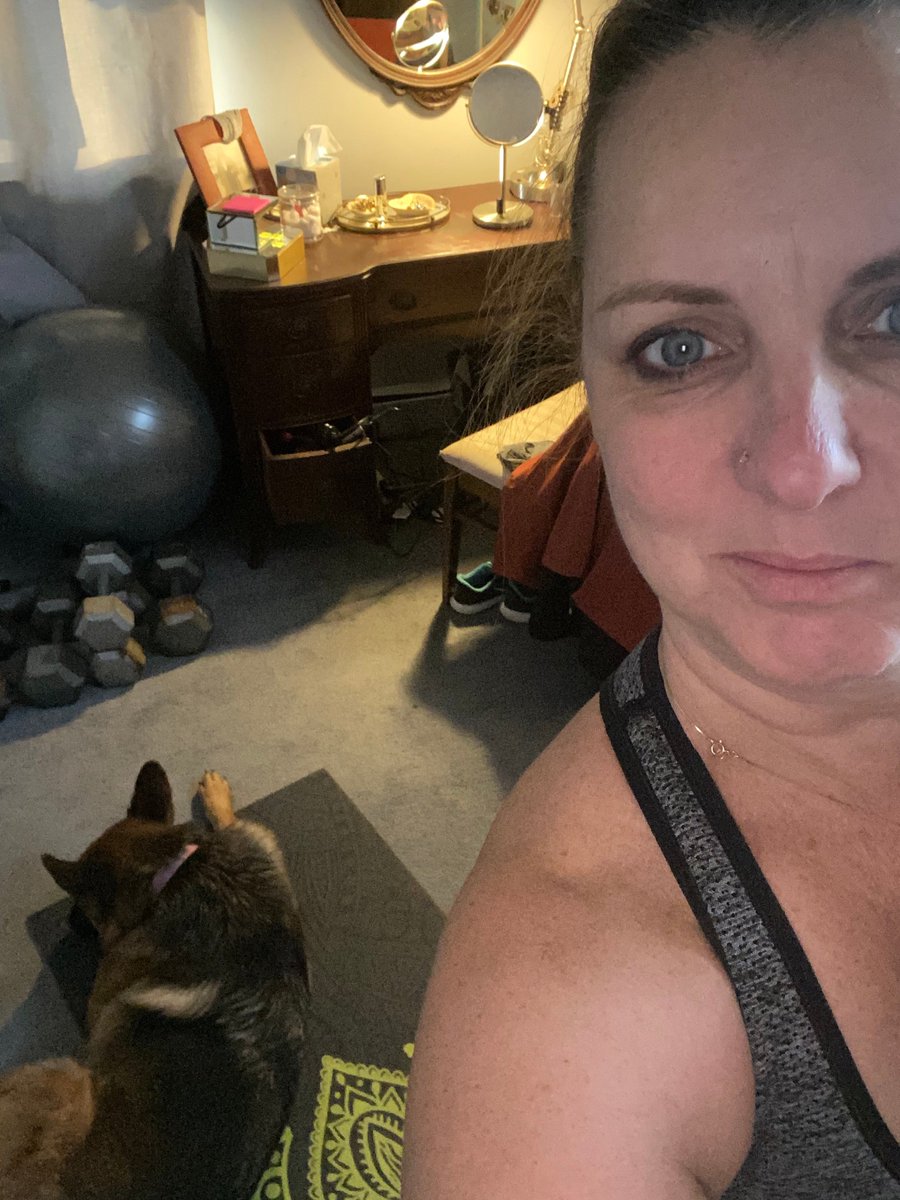 KJCLeo's tweet photo. when your doggo takes over your yoga mat mid-session and makes herself real comfortable! I guess I really created a zen environment! lol #ywabreath #yogaeveryday #SummertheGSD #yogawithpets https://t.co/Vp7bjmL4rS