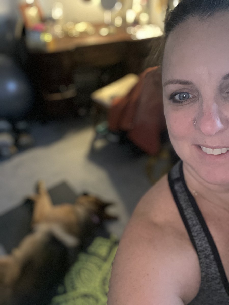 KJCLeo's tweet photo. when your doggo takes over your yoga mat mid-session and makes herself real comfortable! I guess I really created a zen environment! lol #ywabreath #yogaeveryday #SummertheGSD #yogawithpets https://t.co/Vp7bjmL4rS