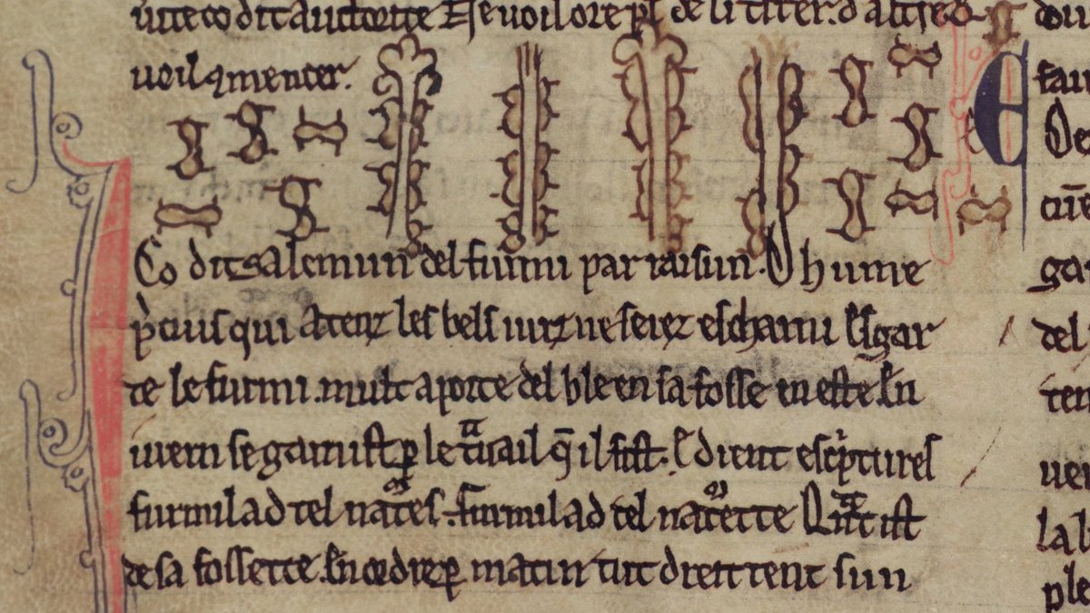 MertonBeasts's tweet photo. While little, ants all work together in their nests, you see.
Let's aim to all act just like them: like one big family.
#LockdownBestiary #Oxford #MedievalTwitter #AntsOrPeanuts
📷 Merton College, MS 249, f. 4v https://t.co/XlRw7z5HCg
