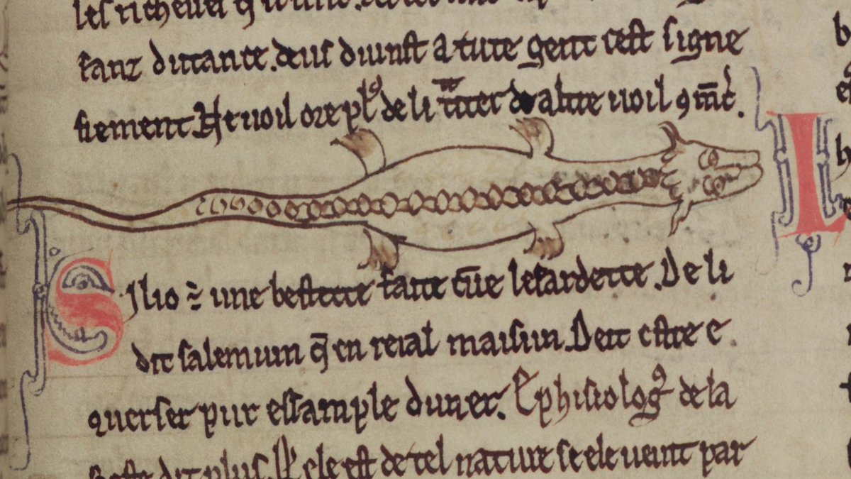 MertonBeasts's tweet photo. The salamander has the means to put out any fire.
It's such a sight that for his court each king must one acquire.
#LockdownBestiary #Oxford #MedievalTwitter #NotASalamander
📷 Merton College, MS 249, f. 6r https://t.co/eUgAIS2JkW