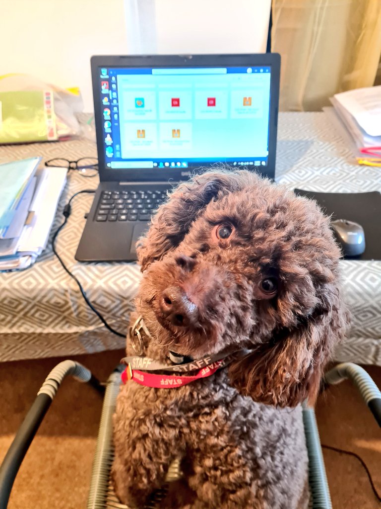 Miss Deegan tweet media