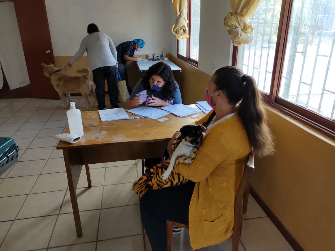MuniSJdeMaipo's tweet image. DURANTE ESTA MAÑANA || El equipo municipal de Medioambiente se encuentra realizando el primer día del Operativo de Esterilización 🐶🐱 en la localidad de San Gabriel. Si no te has registrado, hazlo a través de medioambiente@sanjosedemaipo.cl