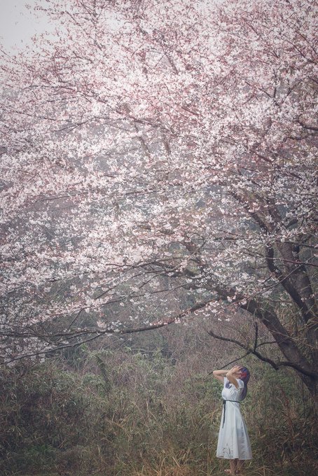 コスプレイヤー由貴のTwitter画像23