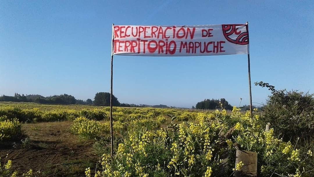 🔴CAÑETE ANTIQUINA , AHORA !!
Toma ilegal de predio privado por LOV ANTIQUINA 

Hoy viernes 8 de enero los "Lov en Resistencia de la Franja Lavkenche" apoyan toma ilegal de predio del chileno Clotildo Palma en Anquitina