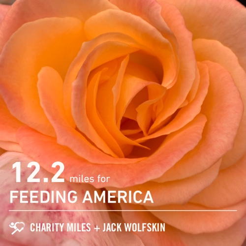 12.2 <a href="/CharityMiles/">Charity Miles</a> for <a href="/FeedingAmerica/">Feeding America</a>. One of the last blooms before the snow/ice forecast.  My favorite color! HAGD 🧡
