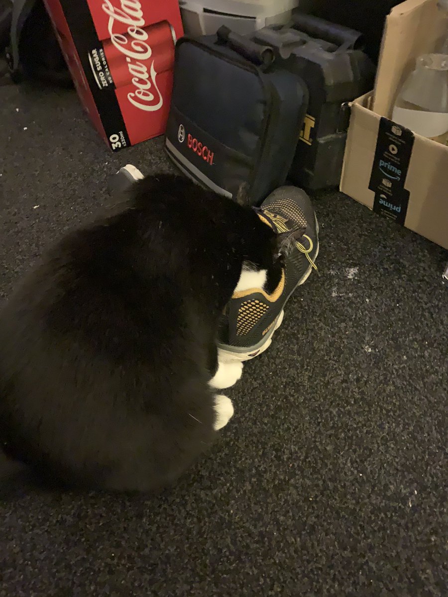 FelixHoracioC's tweet photo. That’s it I’m sick of the humans I’m ending it here https://t.co/KIOaeEKEdv