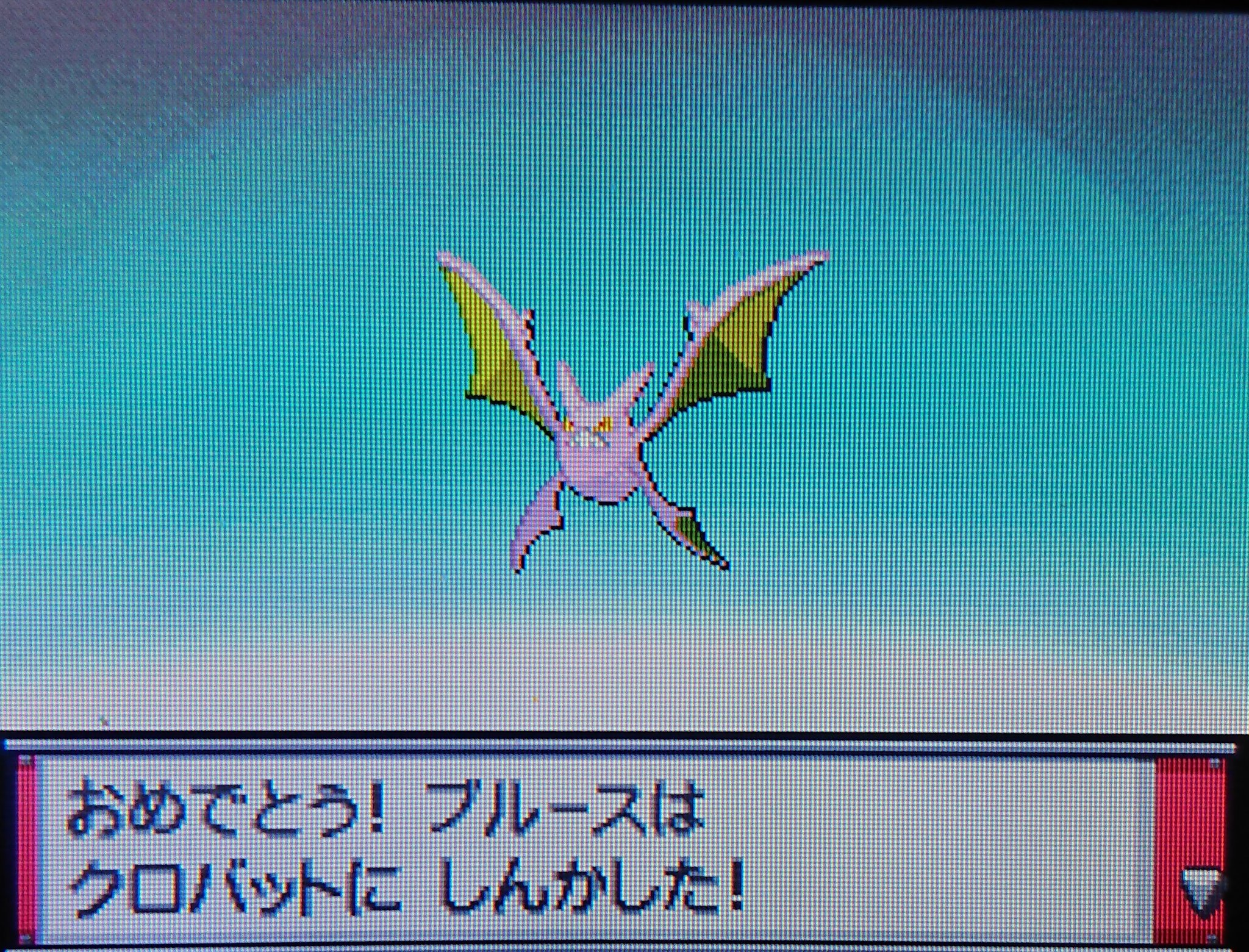 きりん ポケットモンスターハートゴールド ブルースがクロバットに進化 色違いポケモン T Co Ruq0oqfuxo Twitter