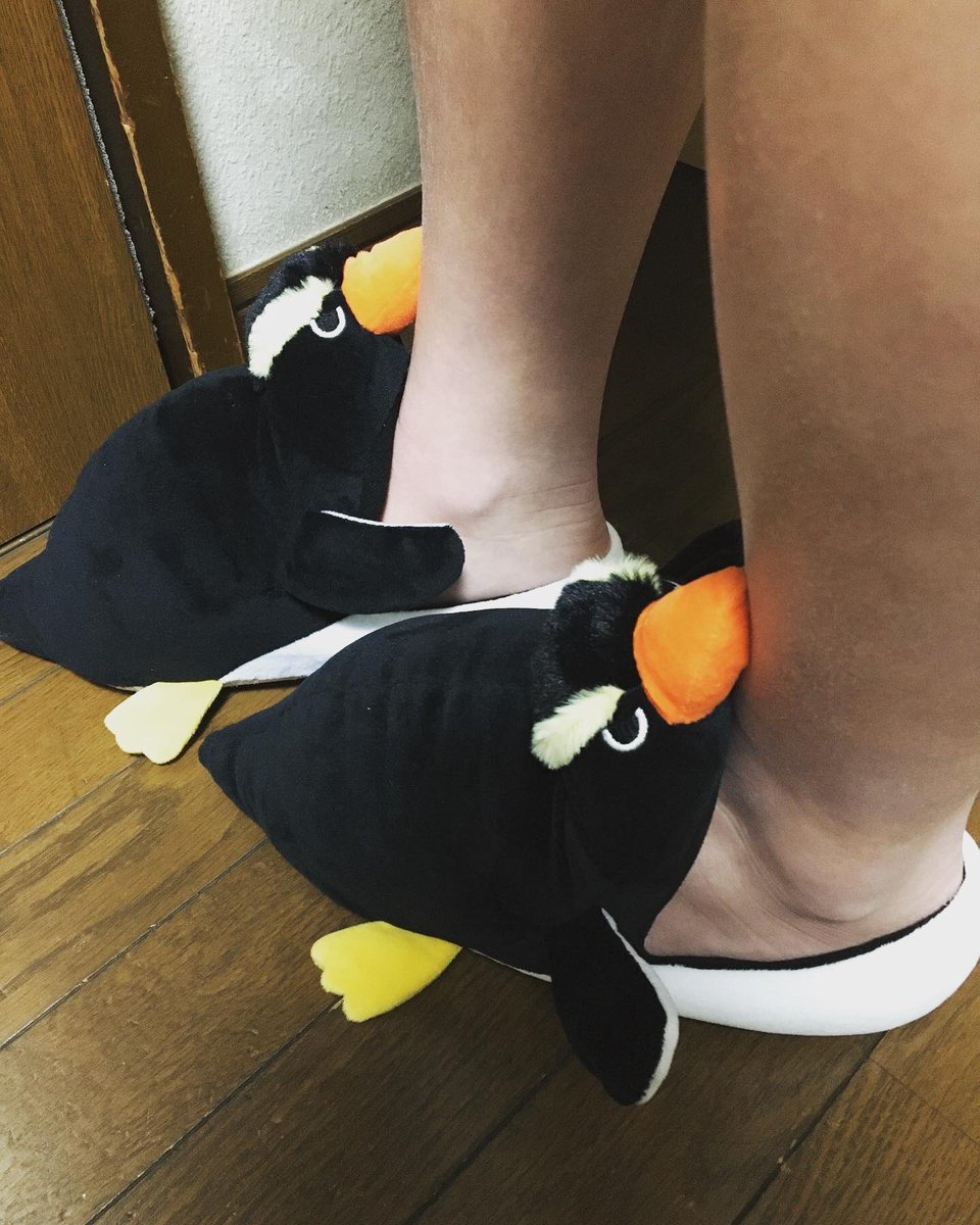 oreleo6's tweet photo. 🐧に噛みつかれた足。
#ペンギン好き
#ペンギンスリッパ https://t.co/isau4tNvCc
