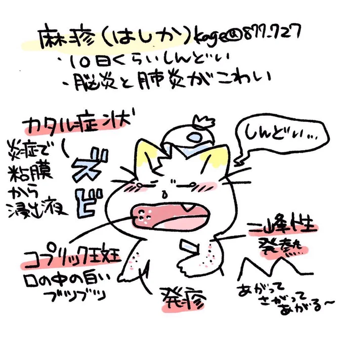 【麻疹と風疹ちがいメモ】
麻疹と風疹はどちらもウィルスによる急性の全身感染症で発疹と発熱がおこる。どちらも合併症があるけれど違うウィルス。
CRSでは先天性心疾患(動脈管開存症、心室中隔欠損症など)、感音性難聴、白内障が主な3大症状

 #かげ国試 
