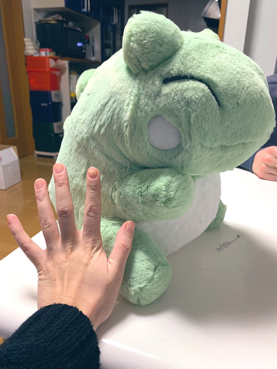Ree みがわりぬいぐるみ届いたよー 思ったより大きい 可愛い Ree みがわりぬいぐるみ届いたよー 思ったより大きい 可愛い