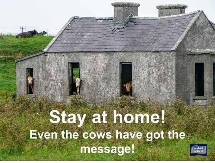 TheFlyer40's tweet photo. Please stay at home and do what your told #COVID19 
@farmersjournal @COVID19Tracking https://t.co/LdnzyRSL8z