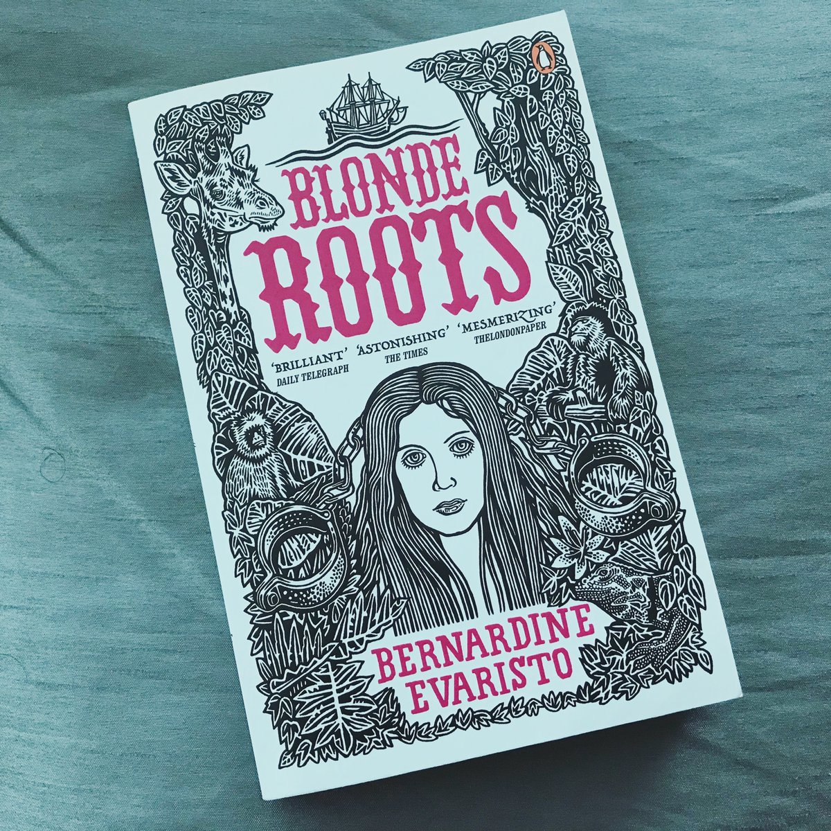 3. Blonde Roots, by  @BernardineEvari. The premise of this book - a reversal of the transatlantic slave trade - is thought-provoking & challenging. A compelling story that makes you realise just how deeply racism is embedded in western cultural norms.