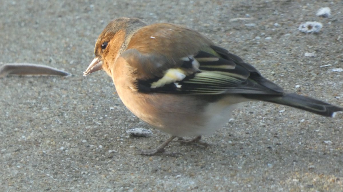 ambiance givrée ce matin
