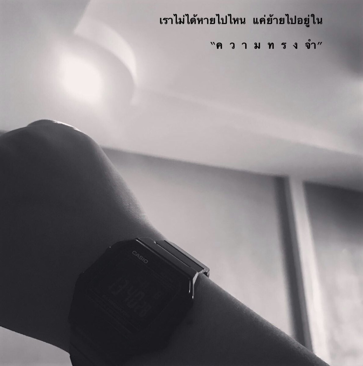 moomamfat's tweet photo. 🖤 

8-1-2021 https://t.co/P8LVObj7US