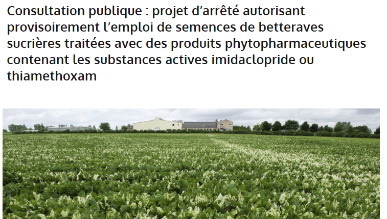 UNAFapiculture's tweet photo. #néonics : Mobilisez-vous aux côtés de l’UNAF en participant à la consultation publique sur le retour des #néonicotinoïdes. Soyons nombreux à expliquer au gouvernement le danger de ce retour en arrière pour nos abeilles ! Pour répondre c’est ici : https://t.co/wZ9lS6P1sH https://t.co/qaJpDUBYJ9