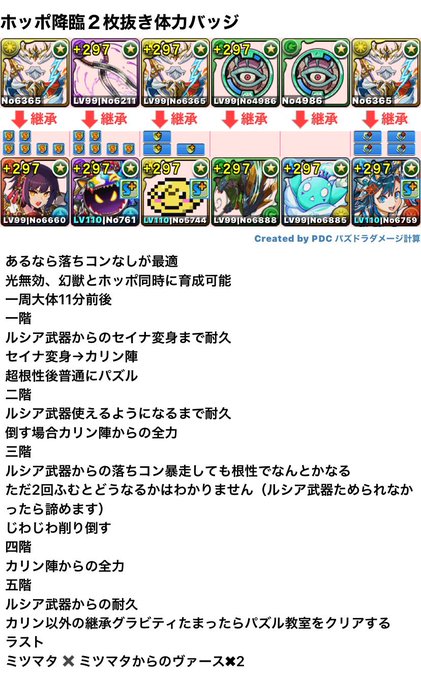ホッポ降臨 セイナ カリン 光無効パ 幻獣とホッポ同時育成 光無効パ パズドラ 編成テンプレ立ち回り攻略解説まとめ