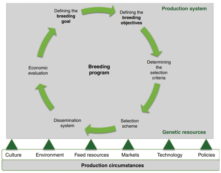 GlobalFarmPlatf's tweet photo. Our paper has been published online!
12 #ResearchFarms 31 #Researchers 11 #Countries
#OpenAccess
๐https://t.co/pqicJV1Qek
@Rothamsted @AgGlten @embrapa @BristolUni @SRUC @FarmPlatform @INIA_UY @ILRI @BangorUni @MasseyUni @ucdagfood @uwplatteville @INRAE_France @UWAresearch https://t.co/gKQKKo4XaF