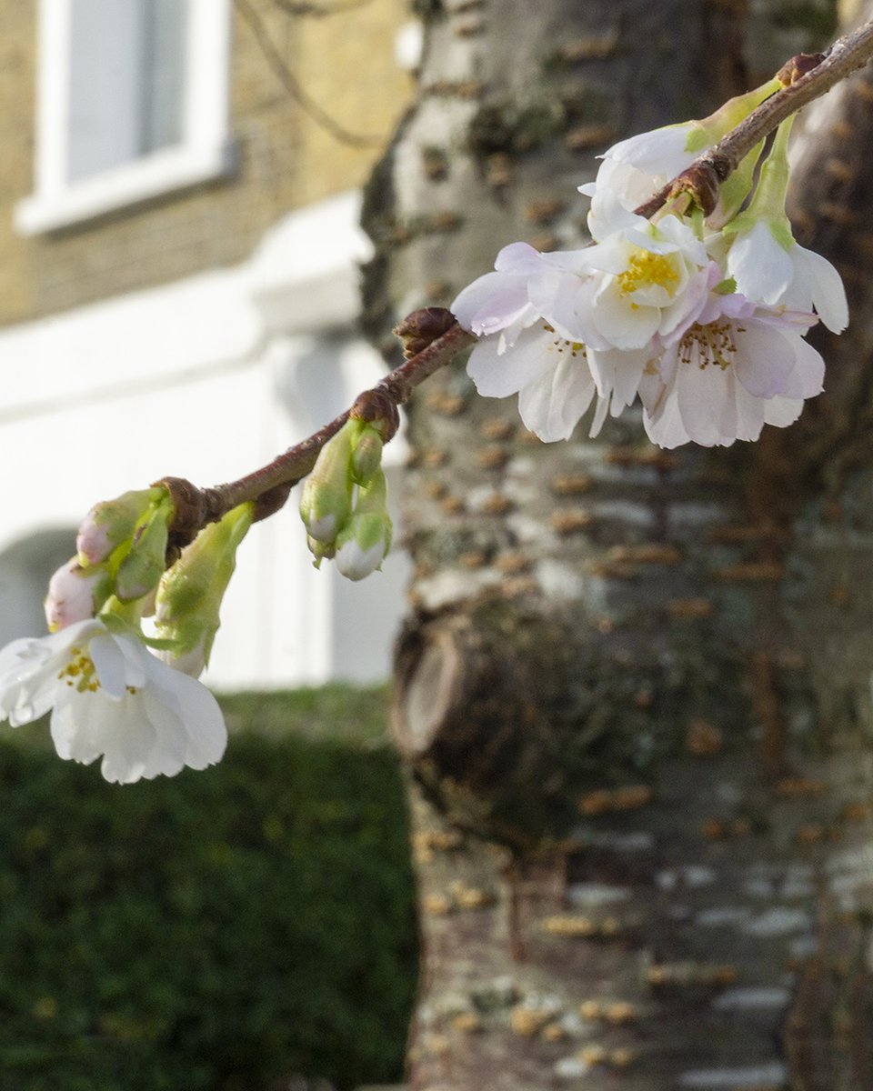 Paul Wood 🌳 tweet media