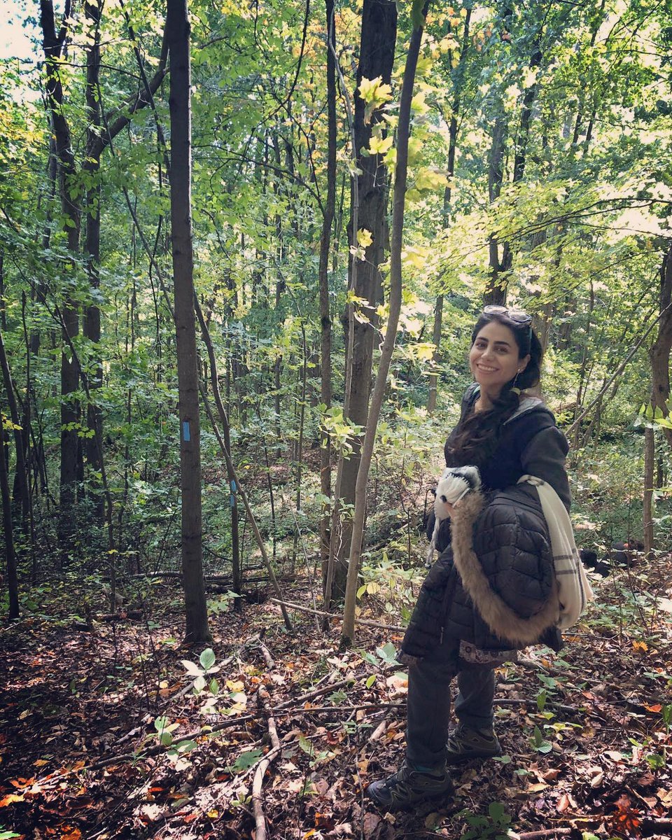 For her PhD dissertation, Ghanimat had partnered with First Nations in Canada to begin mapping the biocultural richness of the boreal forest, using participatory mapping methods as well as remote sensing and Geographic Information Systems (GIS) analysis. 7/