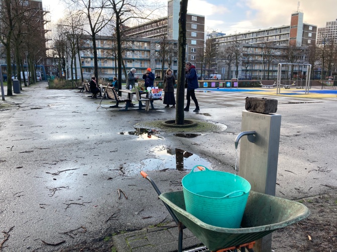rinibiemans's tweet photo. Nog even wat water geven aan Jaap’s coniferen. Het was een mooi moment #wezullenjenietvergeten 🍀 #park1943 @proefpark https://t.co/8Fcc1HpVXJ